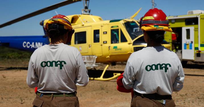 Con reforzamiento en test psicológicos y 3.500 cupos: Conaf y Minagri abren postulación para brigadistas contra incendios