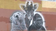 Mural en honor a animales recién fallecidos de San Diego Zoo