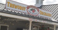 Treworgy Family Orchards open their season early, with a brand