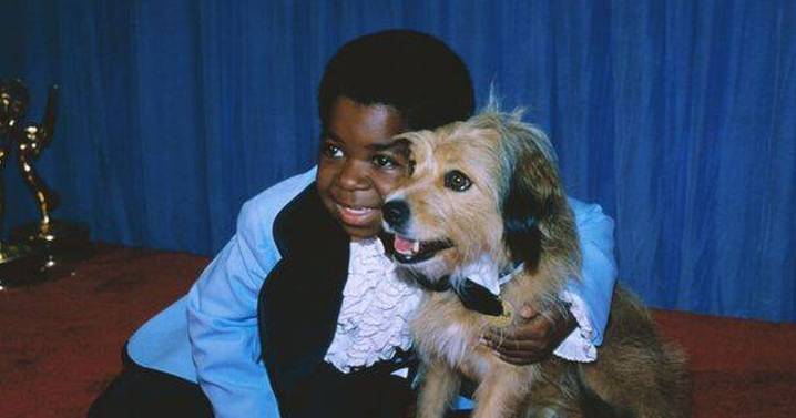 Highest paid child actor used to vomit on set and died penniless after suing parents