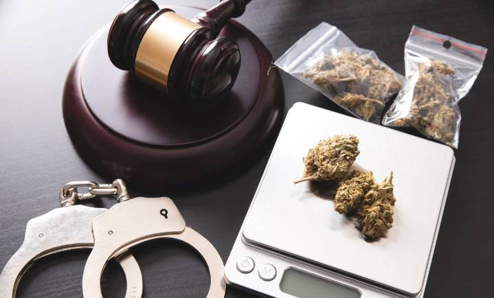 ¿Qué implica reclasificar la marihuana de la Lista I a la III? ¿Estudios médicos lo respaldan?