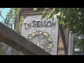 Chickens, plants and pots stolen in Stockton nursery thefts