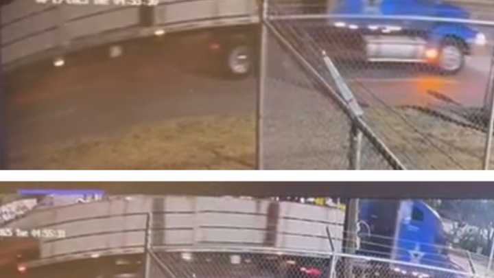 Dallas PD seeks help IDing 18-wheeler driver in hit-and
