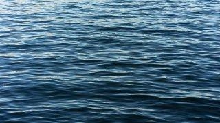 Bodies of missing half brothers recovered from Lake Erie in Lorain County
