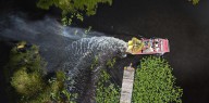 No es ciencia ficción: así funciona el programa de conejos robots en Florida contra un peligroso depredador