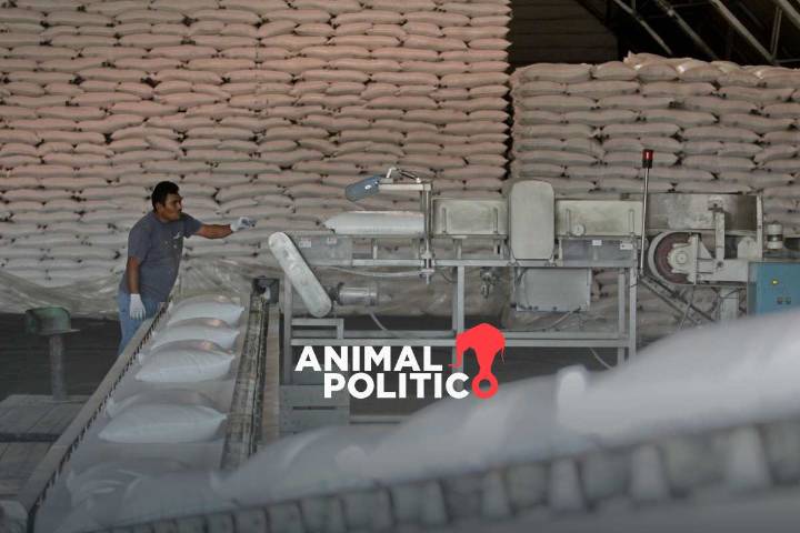 Secretaría de Economía descarta cupos de importaciones en comercio de azúcar; cumple con aranceles