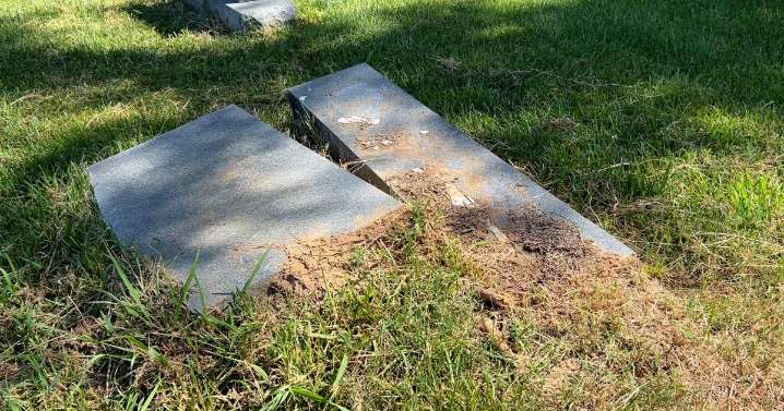 Families hope for change as new owner promises to restore neglected Forest Park cemeteries