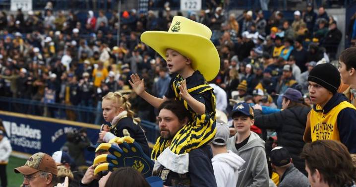 How to watch, stream and listen to the Montana State Bobcats' football games in 2025