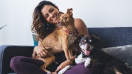 Qué significa tener más de dos mascotas, según los expertos