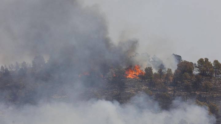 El abandono de más de 176.000 hectáreas agrícolas convierte el monte valenciano en un "polvorín"