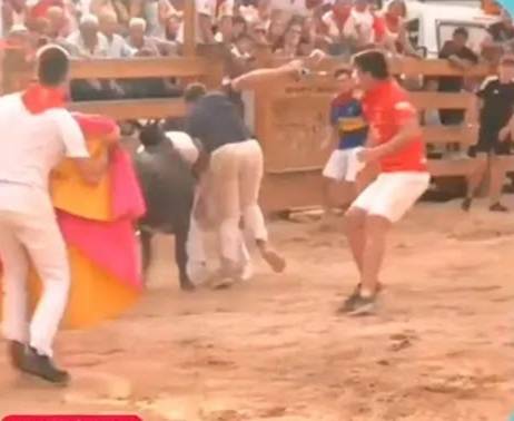 Reportero es embestido por una vaca durante transmisión en vivo