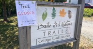 Nova Scotia woods: What is closed and restricted?