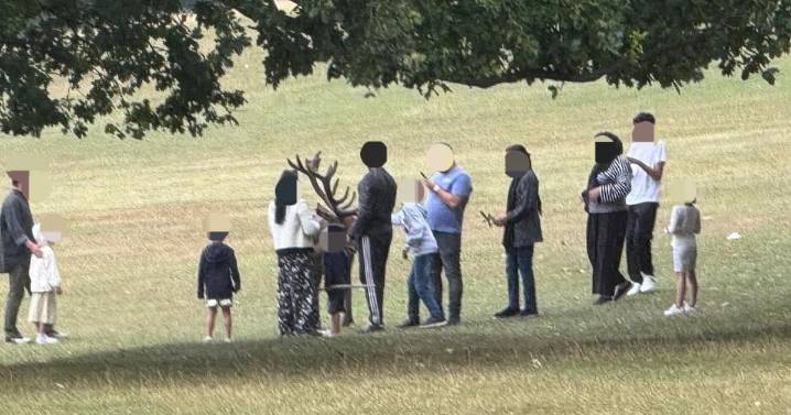 Warning issued after people seen approaching Wollaton Park deer ahead of rutting season