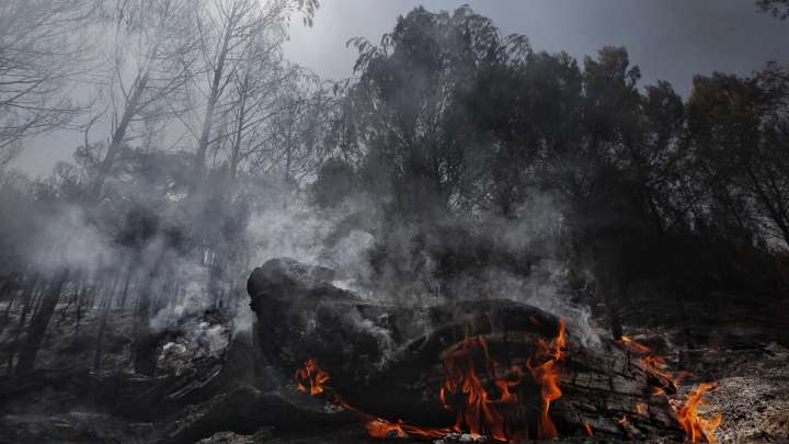 Los bomberos avanzan en el control del incendio en Carcastillo, Navarra, cuya causa habría sido "una acción humana"
