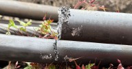 Rail chaos drags into second day after Wigan cable theft