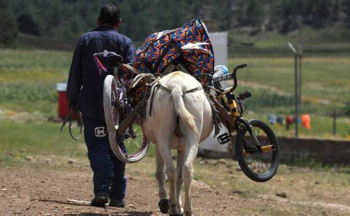 Pobreza disminuye en México, pero aumentan carencias sociales