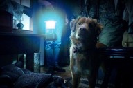‘Good Boy’: Inventive New Horror Movie Told From Dog’s POV