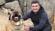 Piden ayuda para costear el traslado de Mircea Spiridon, fallecido en Tres Cantos, a Rumanía