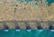 Cerca el fin de temporada de sargazo en el Caribe: recolectan más de 63 mil toneladas