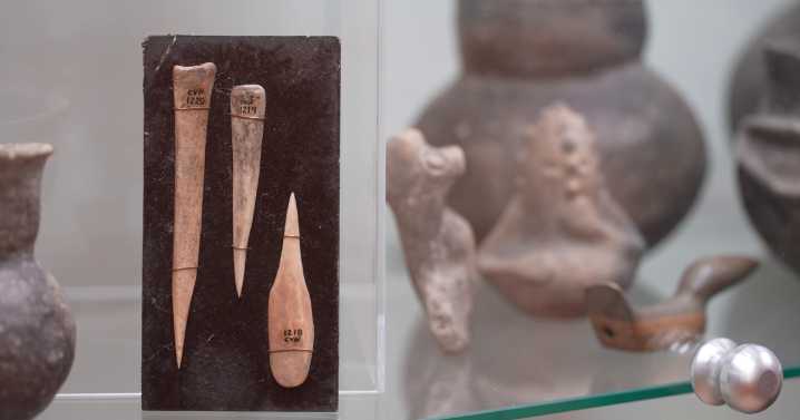 Helena Indian Alliance helps return artifacts to their home