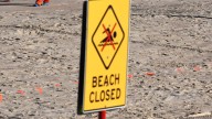 Labor Day plans thrown into chaos as popular beaches along US coast are closed & 'fecal contamination' warnings issued