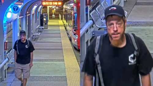 Suspect wanted for fatally stabbing 77-year-old man who was biking to work near trail on N. Drennan Street, Houston police say
