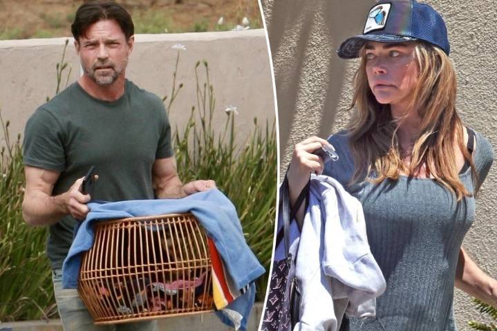 Aaron Phypers hits back at Denise Richards’ claims he put down their dog without permission