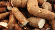 ¿Cuáles son las propiedades medicinales de la yuca?