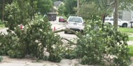 ‘I’m happy to do the work’: Stoughton cleans up after overnight storm downs trees and powerlines