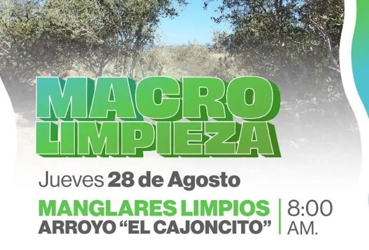 La Paz convoca a macro limpieza de manglares en arroyo “El Cajoncito”