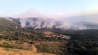 Sólo 1 de cada 4 detenidos por incendios forestales son condenados: "Es difícil probar su intencionalidad"