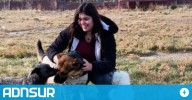 22:22 "Gorda" encontró su hogar: el emotivo gesto de una vecina que inspira a adoptar más perros en Comodoro