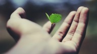 ¿Nuevo León hacia energías limpias? Esto se impulsa en el Congreso