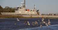 S.C. Dept. of Natural Resources to remove derelict Navy ship