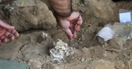 Archaeologists in Georgia unearth 1.8-million