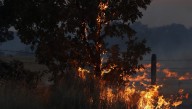 Cinco grandes incendios golpean Salamanca en un día negro