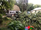Storm knocks out power, trees in McHenry County on Saturday