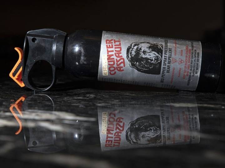 Safe Public Spaces bylaw passed in Saskatoon amid bear spray struggles