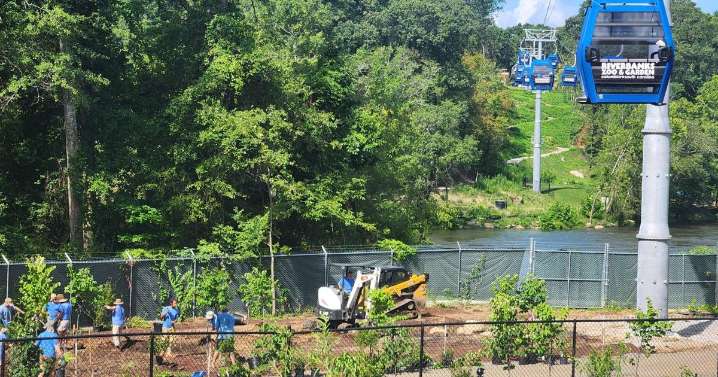 Saluda Skyride at Riverbanks to open early fall