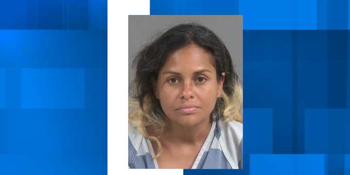Woman arrested in Charleston crime spree involving arson, burglary, vehicle theft