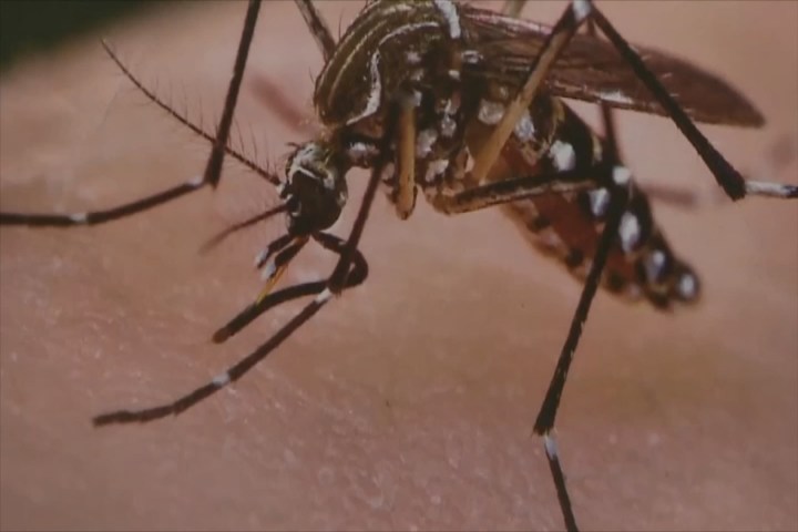 West Nile virus case confirmed in Emmet County