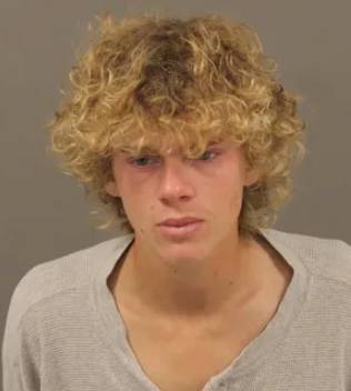 Rochester Hills man accused of sex with minor charged