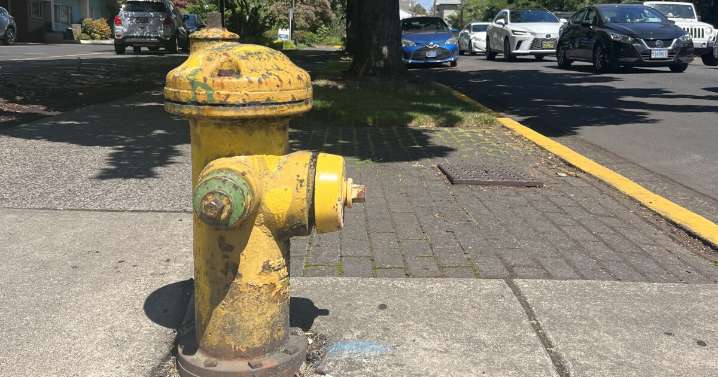 EWEB looks to transfer fire hydrant ownership from the City of Eugene to the utility