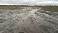 La región agrícola recibirá lluvias “moderadas a abundantes” sobre el sudeste y el centro