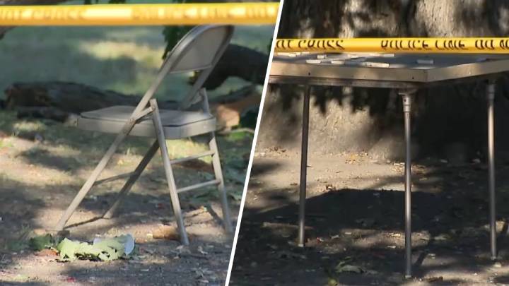 Jugadores de dominó heridos luego de que los aplastara un árbol
