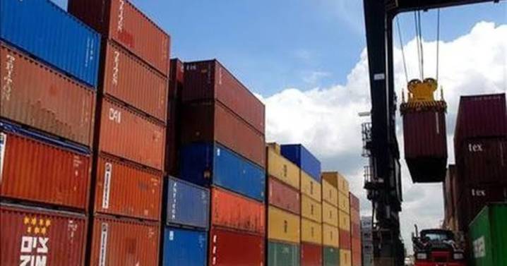 Pese a aranceles y gusano barrenador, exportaciones a EU crecen en julio