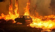 Las llamas no dan tregua en España y Portugal: al menos 19 focos de incendios afectan las zonas