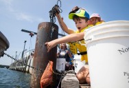 Camp Ellis celebrates summer, working waterfront at Harborfest