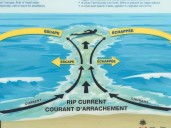 Surf conditions Monday declared dangerous in parts of P.E.I. National Park