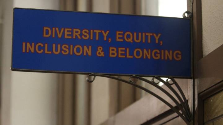 In a liberal society, equity is a false idol 